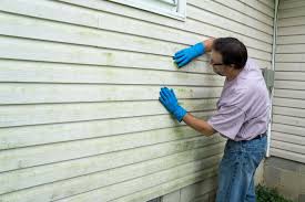 Best Custom Trim and Detailing for Siding  in Sawgrass, FL